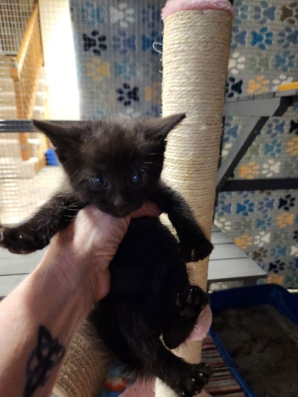 Elenor Rigby thumbnail 2