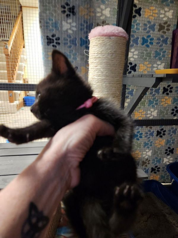 Elenor Rigby thumbnail 3