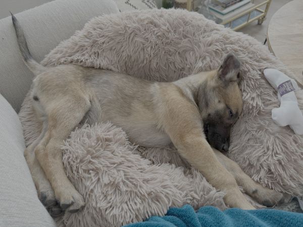 Gretel  Located In thumbnail 2