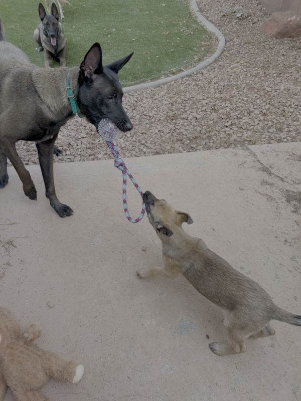 Gretel  Located In thumbnail 4