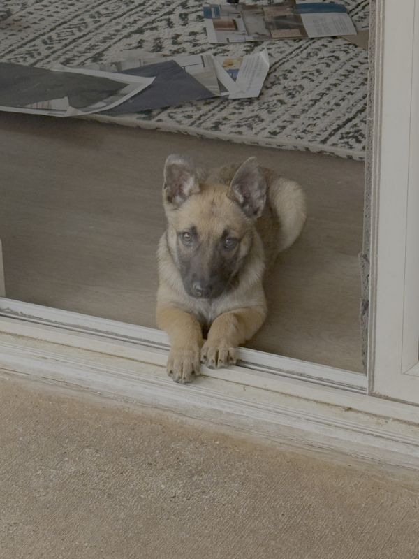 Gretel  Located In thumbnail 5