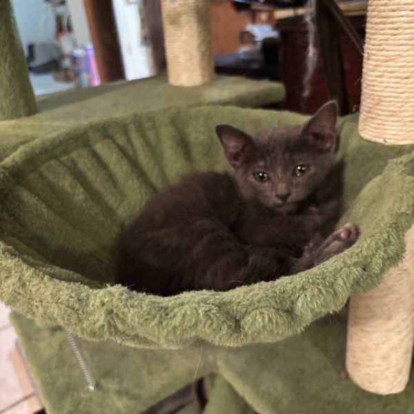 Tennessee thumbnail 2