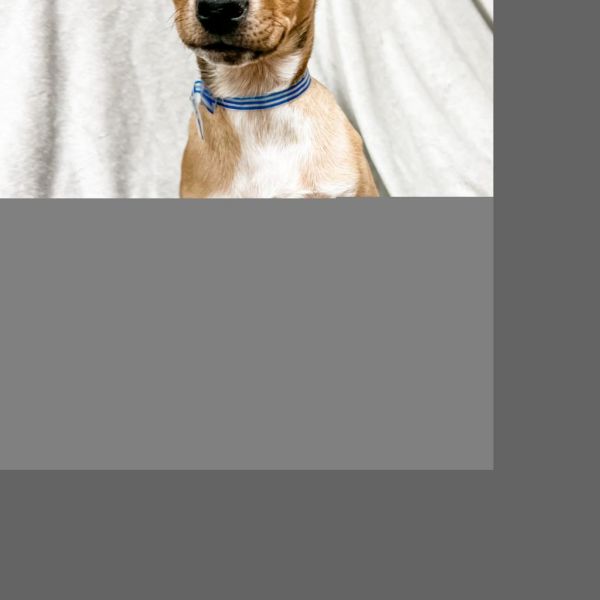 Rainey Fka Miranda Ann thumbnail 2