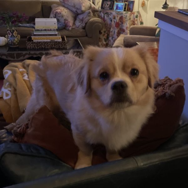 Maldives thumbnail 2