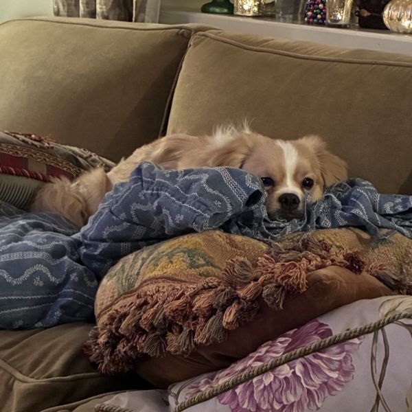 Maldives thumbnail 4