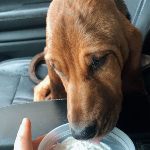 Merryweather thumbnail 5