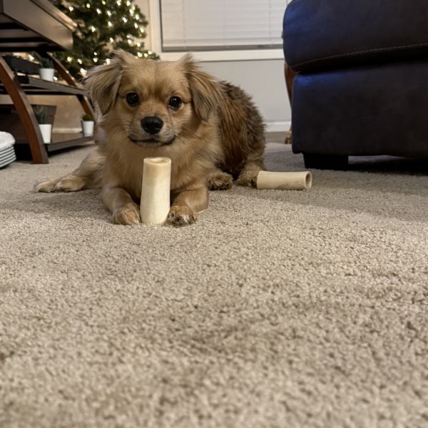 Mauritius thumbnail 4