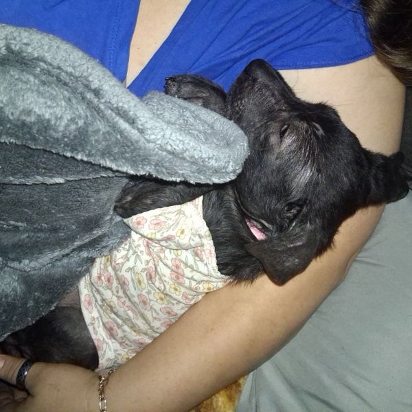 Black Beans thumbnail 5