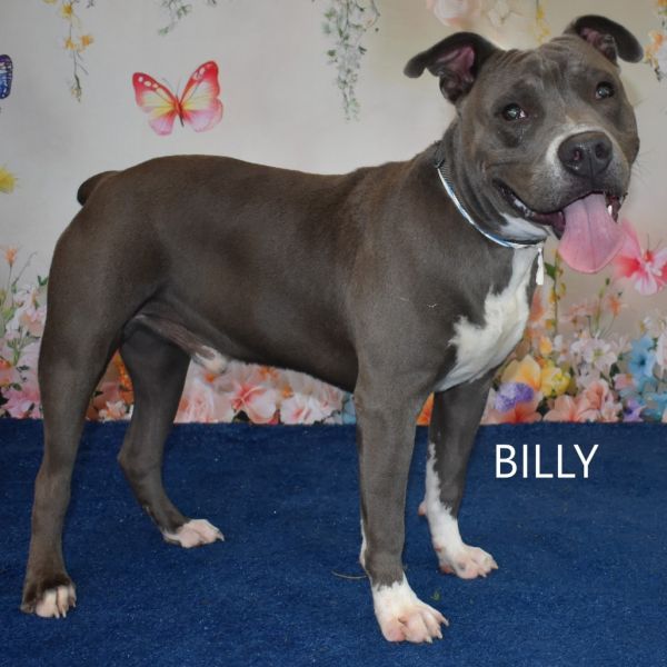 Billy