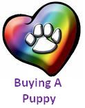 Buying A Puppy detail page