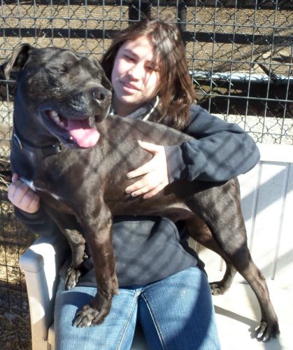 Scrappy-ADOPTED!!! 2