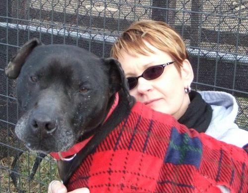 Scrappy-ADOPTED!!! 3